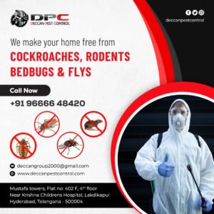 Pest-Control-in-Hyderabad