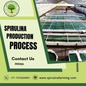 Spirulina-Production-Process-2-2-1