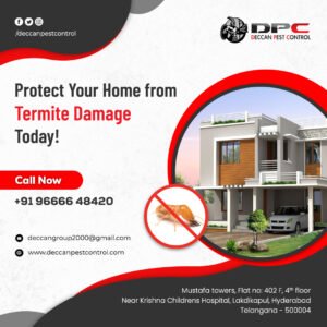 Termite-Pest-Control-Service