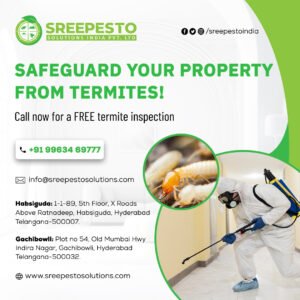 Termite-Control-Services-in-Hyderabad-2