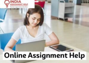 India-assignment-help